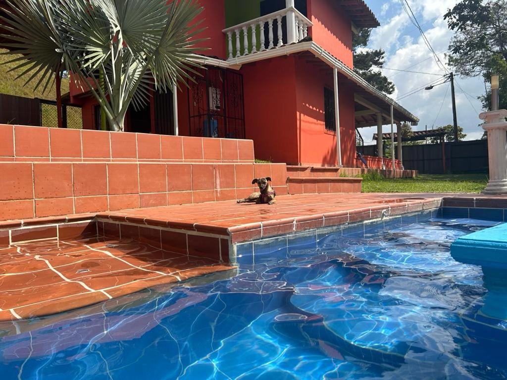 Finca Hotel La Bonita Guatapé Extérieur photo